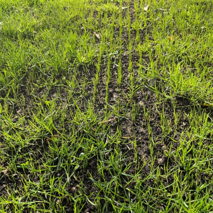 Doorzaairesultaat 1 HR